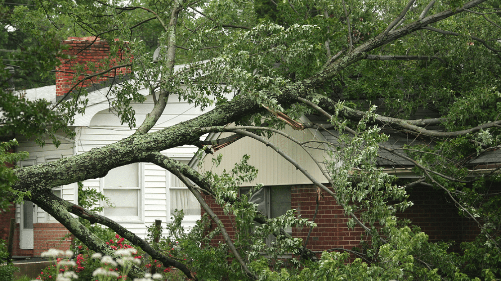 severe summer weather