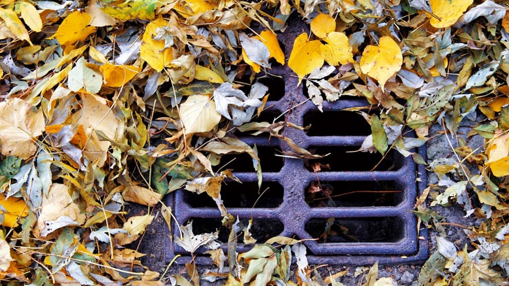 an outdoor drain partially covered with leaves