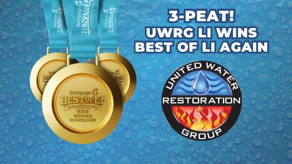Medals celebrating Best of LI win