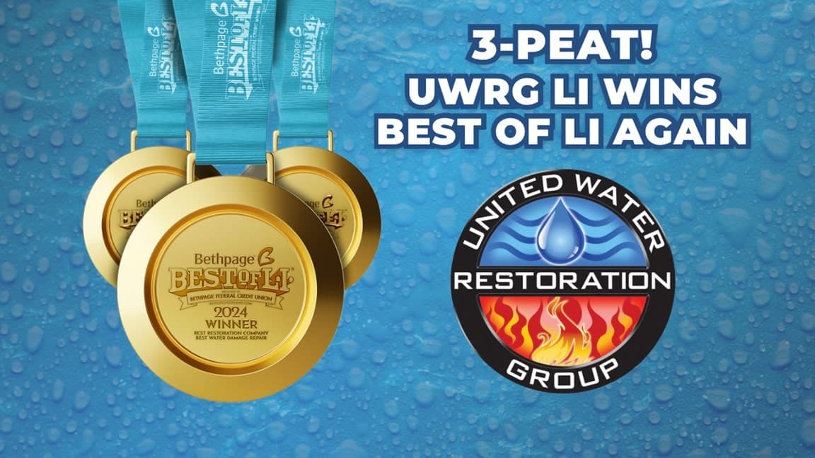Medals celebrating Best of LI win